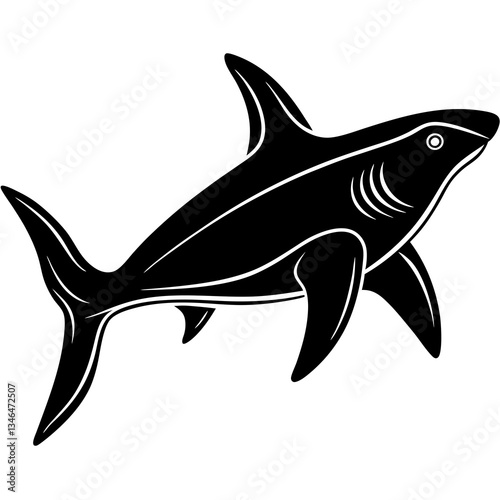 hammerhead shark vector illustration