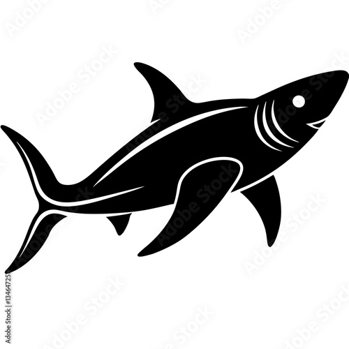 hammerhead shark vector illustration