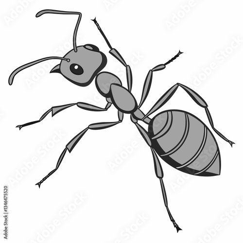 ant