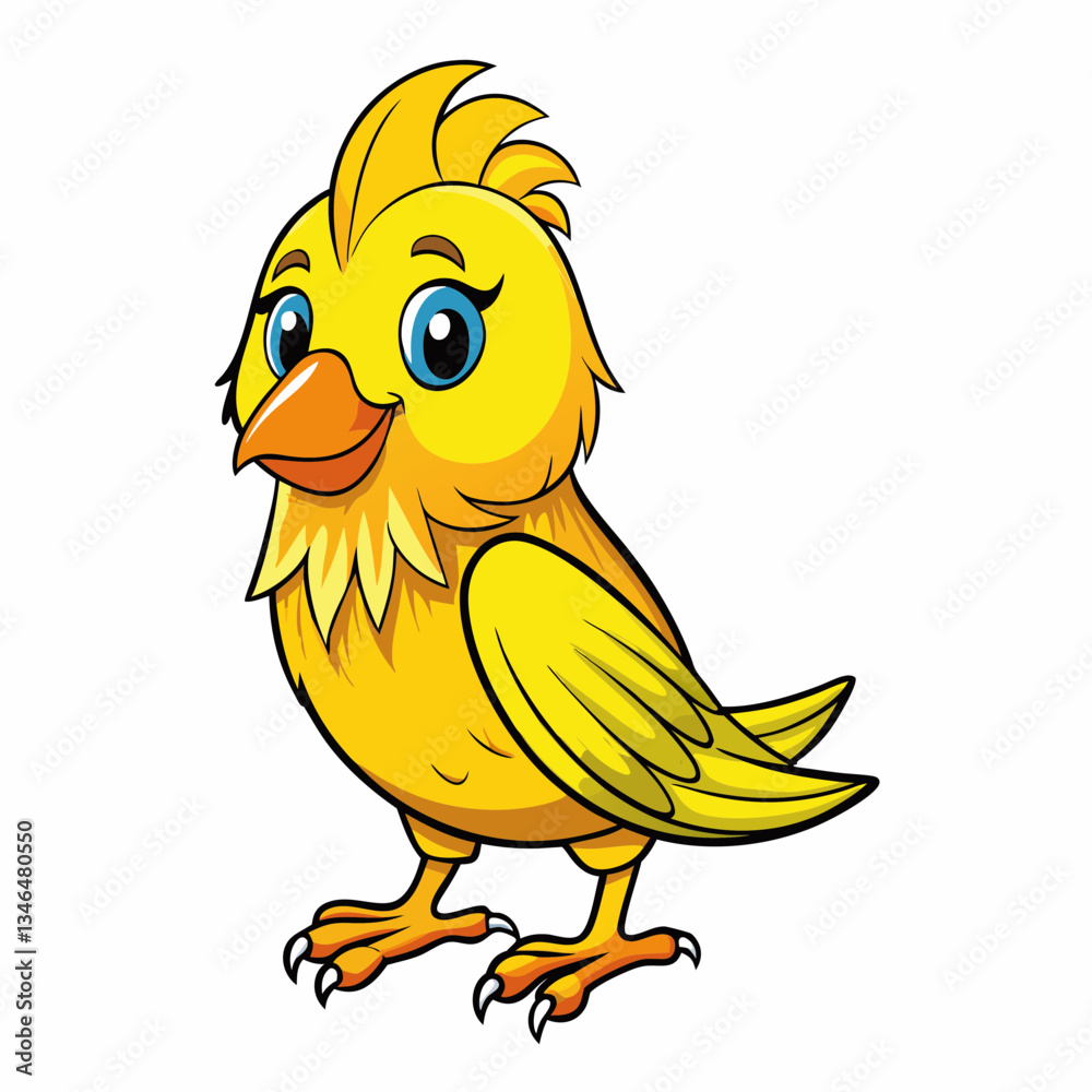 canary isolated on white canary isolated on white