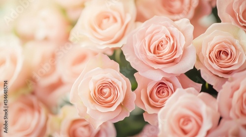 Beautiful pastel pink roses in the background, with a soft focus and blurred effect, creating a suitable design for a wedding card or invitation. 