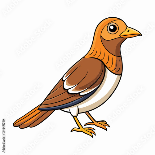 thrush isolated on white background