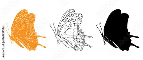 Butterfly black ink line art, silhouette illustrations and gold foil. Insect set for coloring page, tattoo, hand drawn stickers, coloring page. Vector illustration, isolate on white background