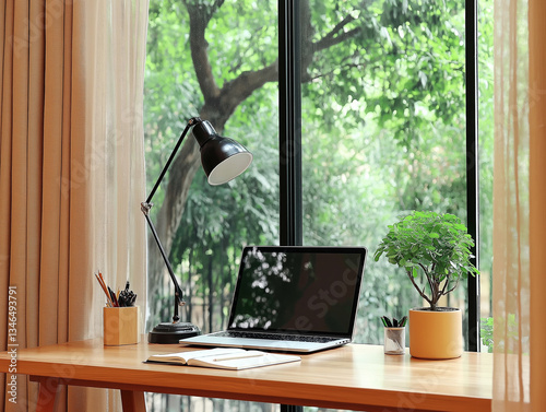 Minimalist home office setup with a laptop, desk lamp, and potted plant near a large window