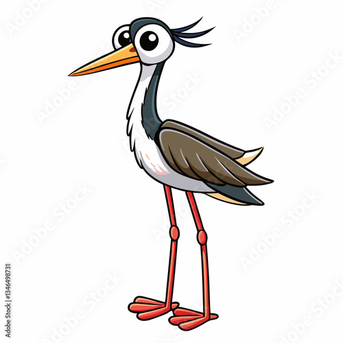 black necked stilt on a white background
