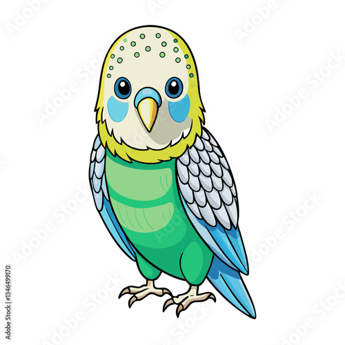 budgerigar budgie bird with background