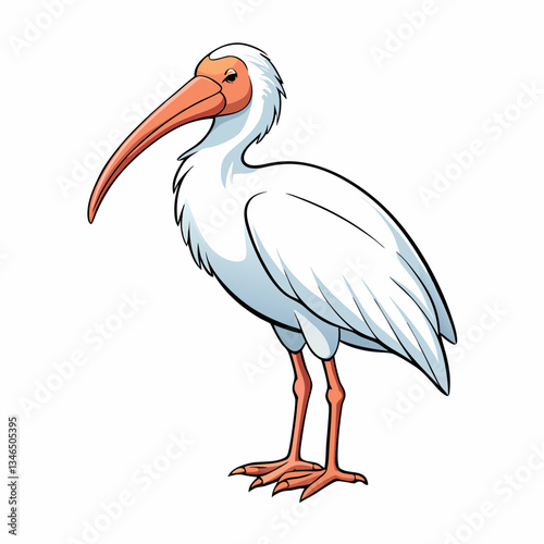 ibis on white background