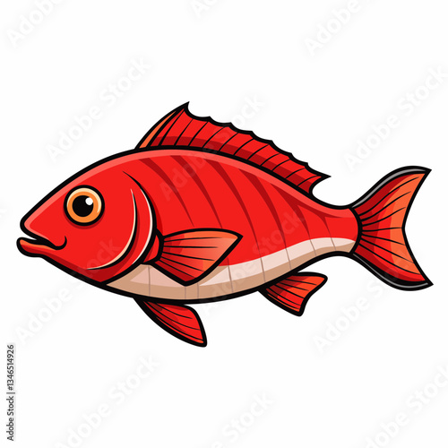 snapper fish on a white background