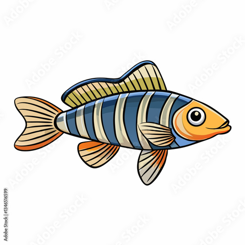 zebra danio fish isolated on white