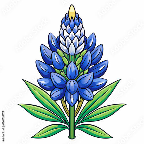 bluebonnet flower isolated on white