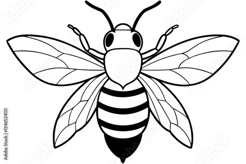 carpenter bee line art silhouette vector illustration