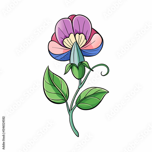 sweet pea flower isolated on white background