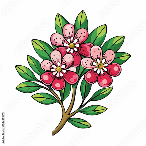 vector illustration of waxflower flowers