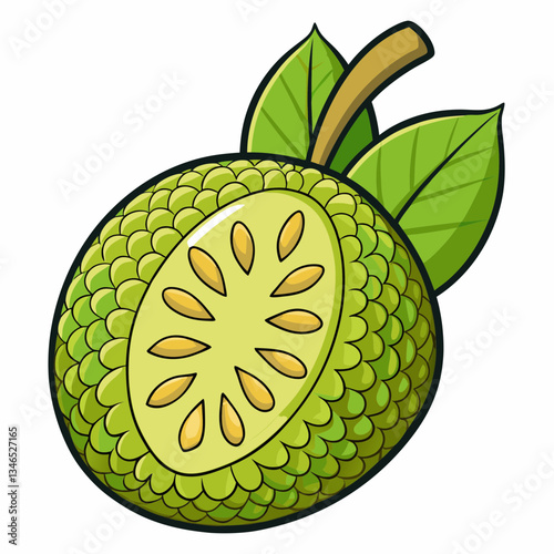 vector illustration of a breadfruit