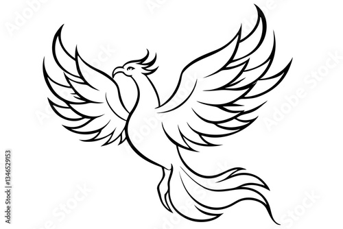 fenix bird line art silhouette vector illustration