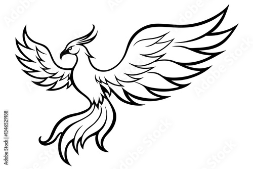 fenix bird line art silhouette vector illustration