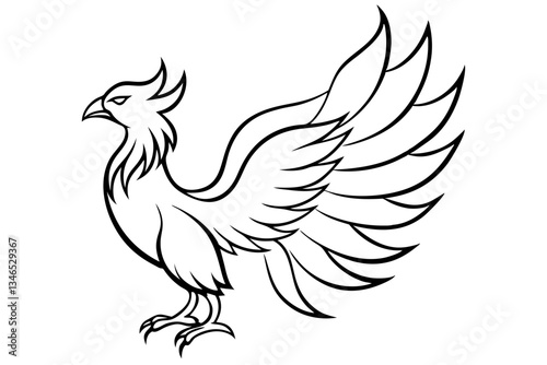 fenix bird line art silhouette vector illustration