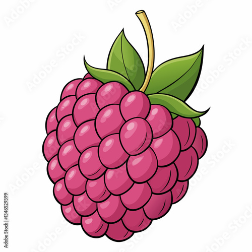 vector illustration of a loganberry