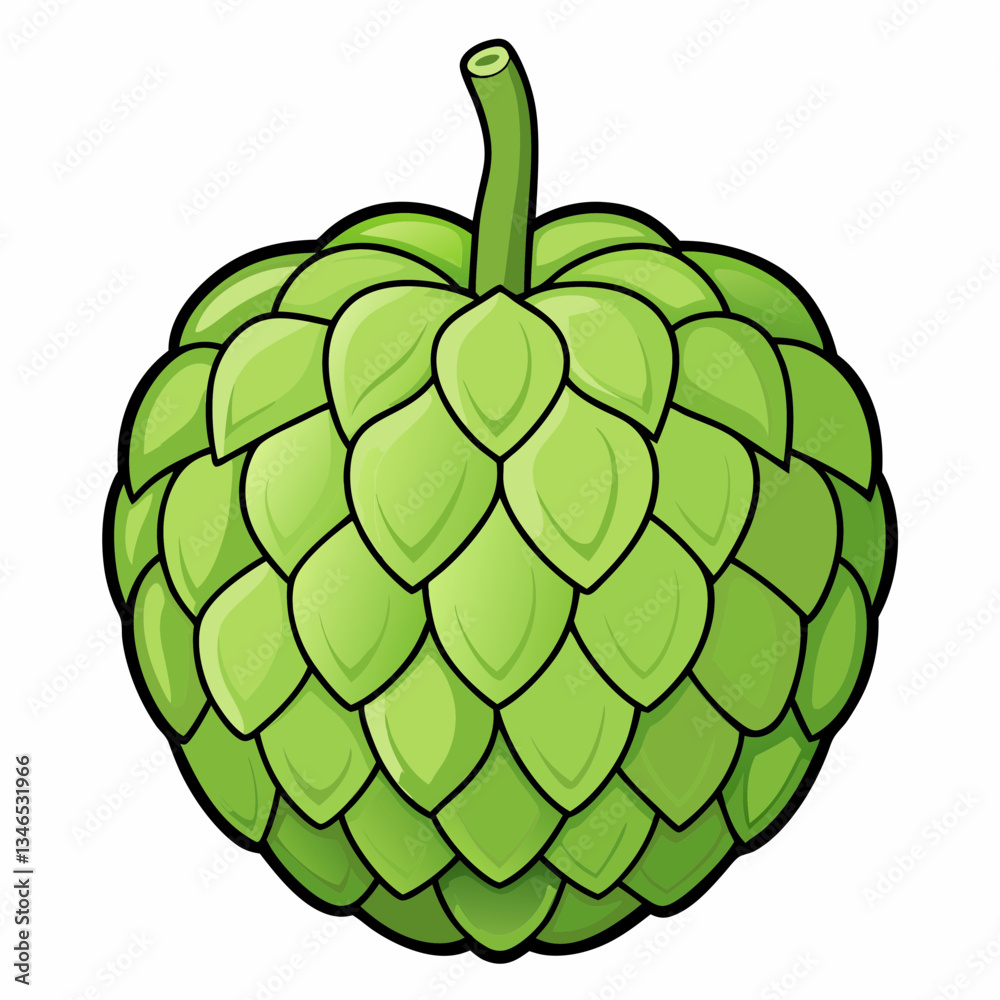 sugar apple isolated on white sugar apple isolated on white