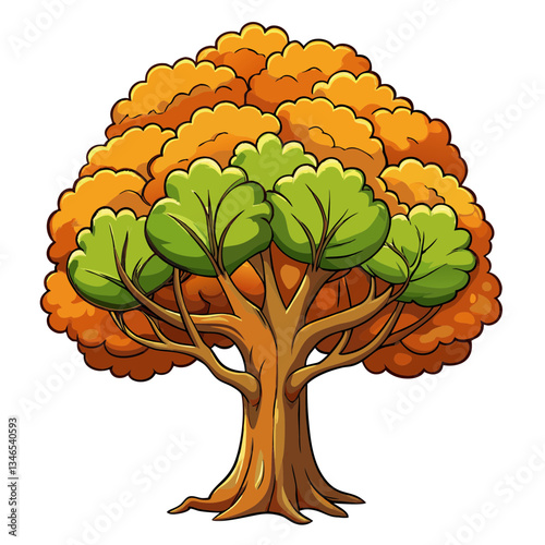vector illustration of a beech tree