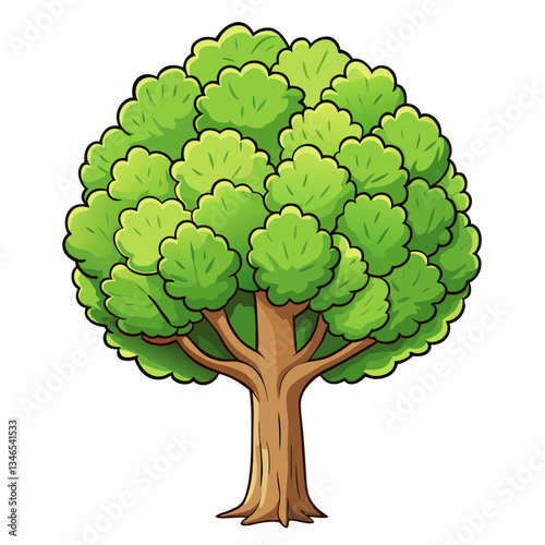 elm tree with leaves