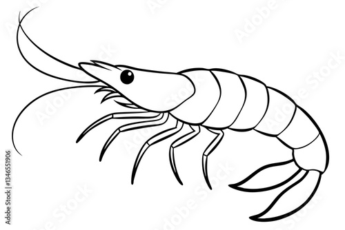 shirmp line art silhouette vector illustration