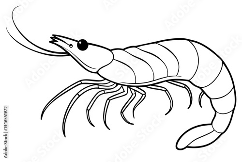 shirmp line art silhouette vector illustration
