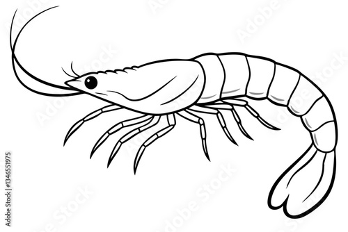shirmp line art silhouette vector illustration