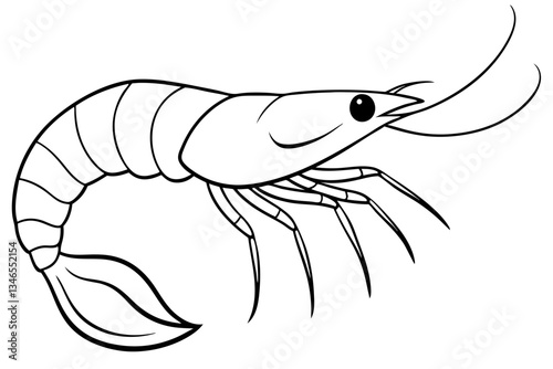 shirmp line art silhouette vector illustration