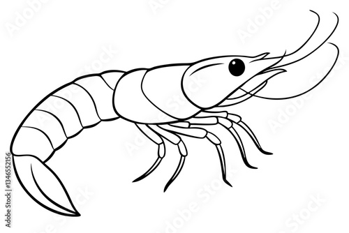 shirmp line art silhouette vector illustration