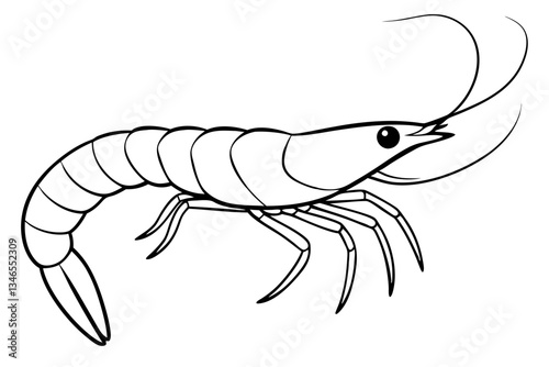 shirmp line art silhouette vector illustration