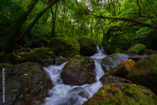 waterfall in the forest