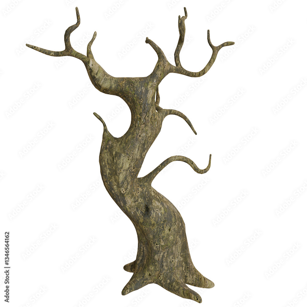 Obraz premium Twisted, gnarled, dead tree illustration