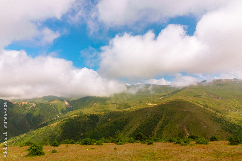Fototapeta premium Forest covered mountains and clouds. Landscape of the mountains