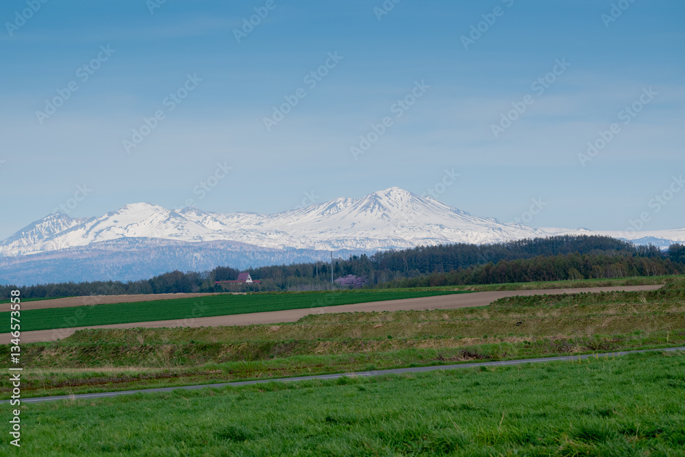 Fototapeta premium 春の畑と残雪の山並み 大雪山 