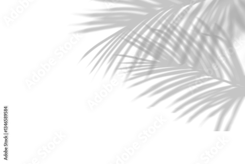 Elegant Tropical Palm Leaf Shadows | Minimalist Natural Aesthetics for Decor & Design