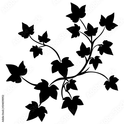 Ivy Silhouette Black Vector