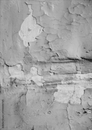 Large vector halftone concrete wall texture with a transparent background