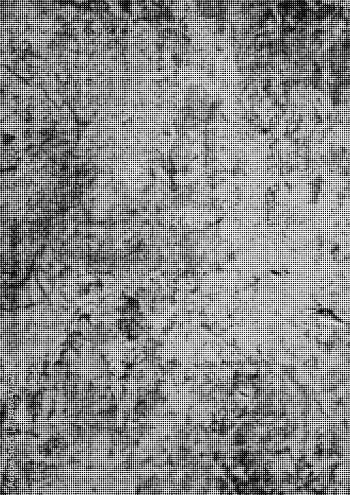 Fototapeta premium Large vector halftone concrete wall texture with a transparent background