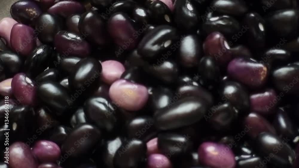 Clockwise round shot of black turtle bean is a small, shiny variety of the common bean. It contains vitamin B6, calcium, magnesium. Clockwise round shot of black turtle bean is a small, shiny variety of the common bean. It contains vitamin B6, calcium, magnesium.