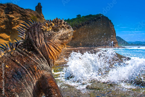 Galapagos Islands. Ecuador....