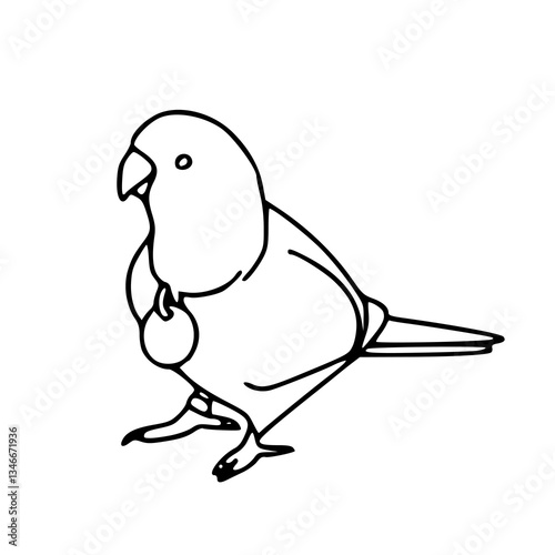 lovebird outline drawing