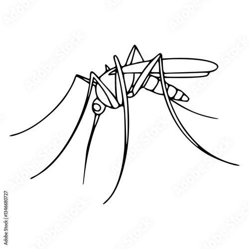 mosquito vector illustration