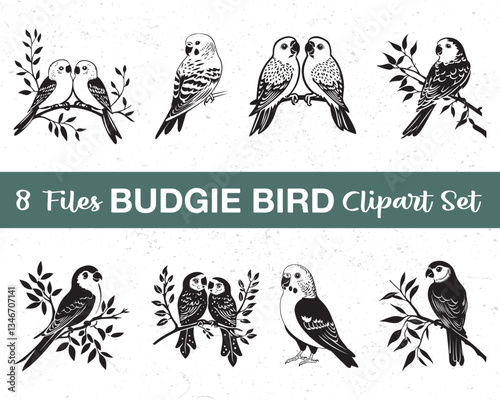 Budgie Bird Clipart Set - Vector Illustration