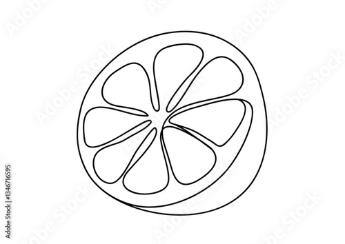 black and white one continuous line lime orange lemon vector illustration, citrus cut drawing isolated on white background with copy space for text, citrus slice isolated on white