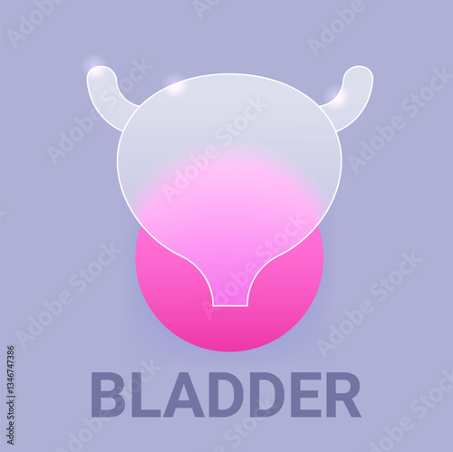 Human bladder glass morphism icon. Urinary system symbol