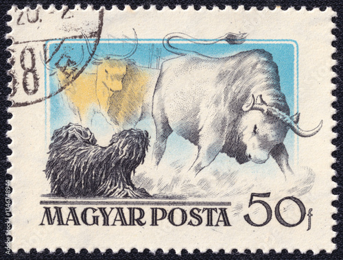 Hungarian stamp from 1986 featuring a Komondor, a traditional Hungarian livestock guardian dog, facing a Hungarian Grey cattle. This breed is known for its protective instincts.