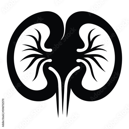Human kidney anatomy. Kidney medical science vector illustration. Internal human organ: kidney, ureter and tract, renal artery, aorta and vein. Human kidney anatomy education