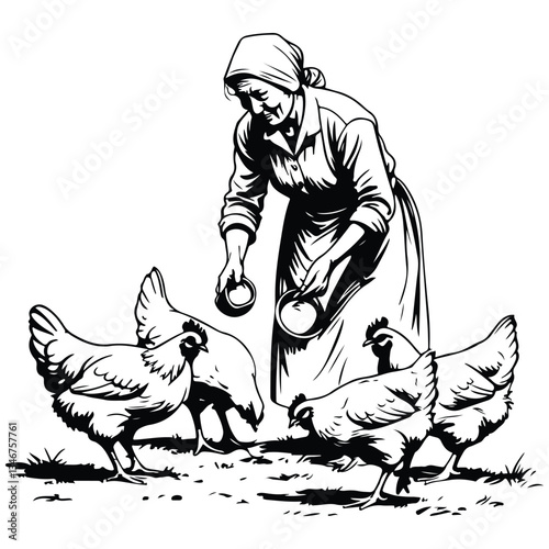 old woman feeding chickens sketch illustration
