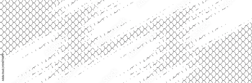 Fototapeta premium Black snake skin pattern isolated on white background eps 10